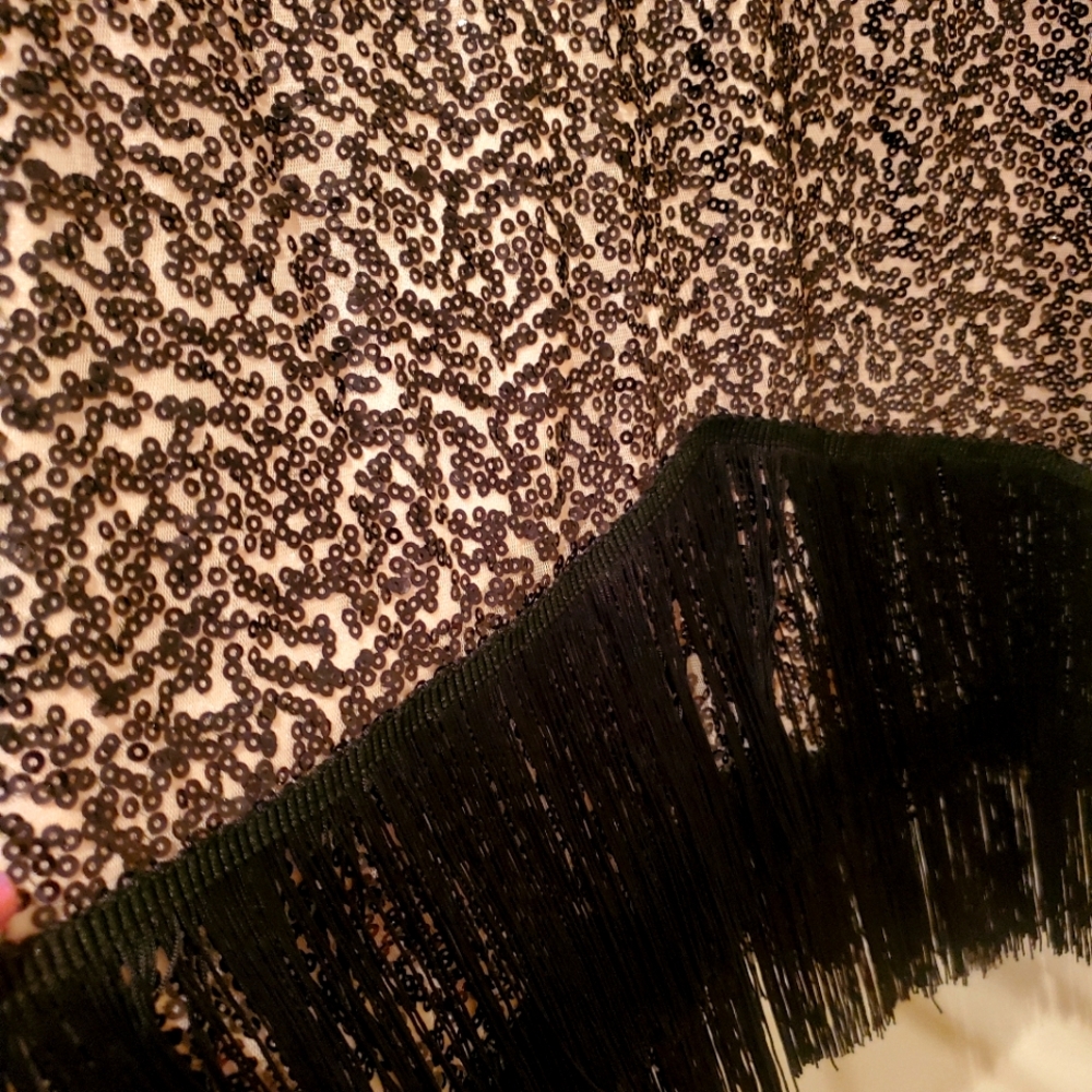 1920s Vintage flapper dress